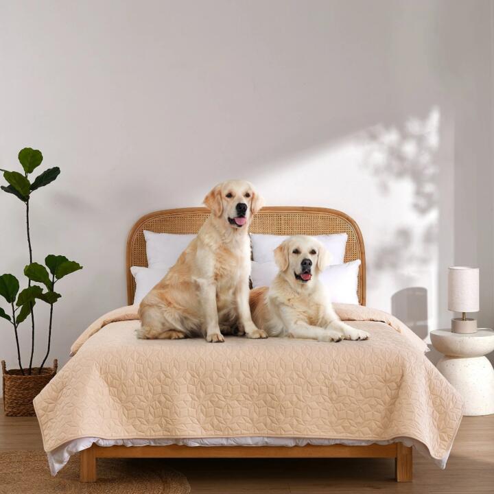 Charlies Sofur Waterproof Dog Bed Cover Protector Double Queen Oat